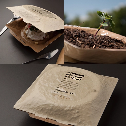 Eco-Friendly Packaging You Can Plant! This Biodegradable Bowl Is Pure Genius